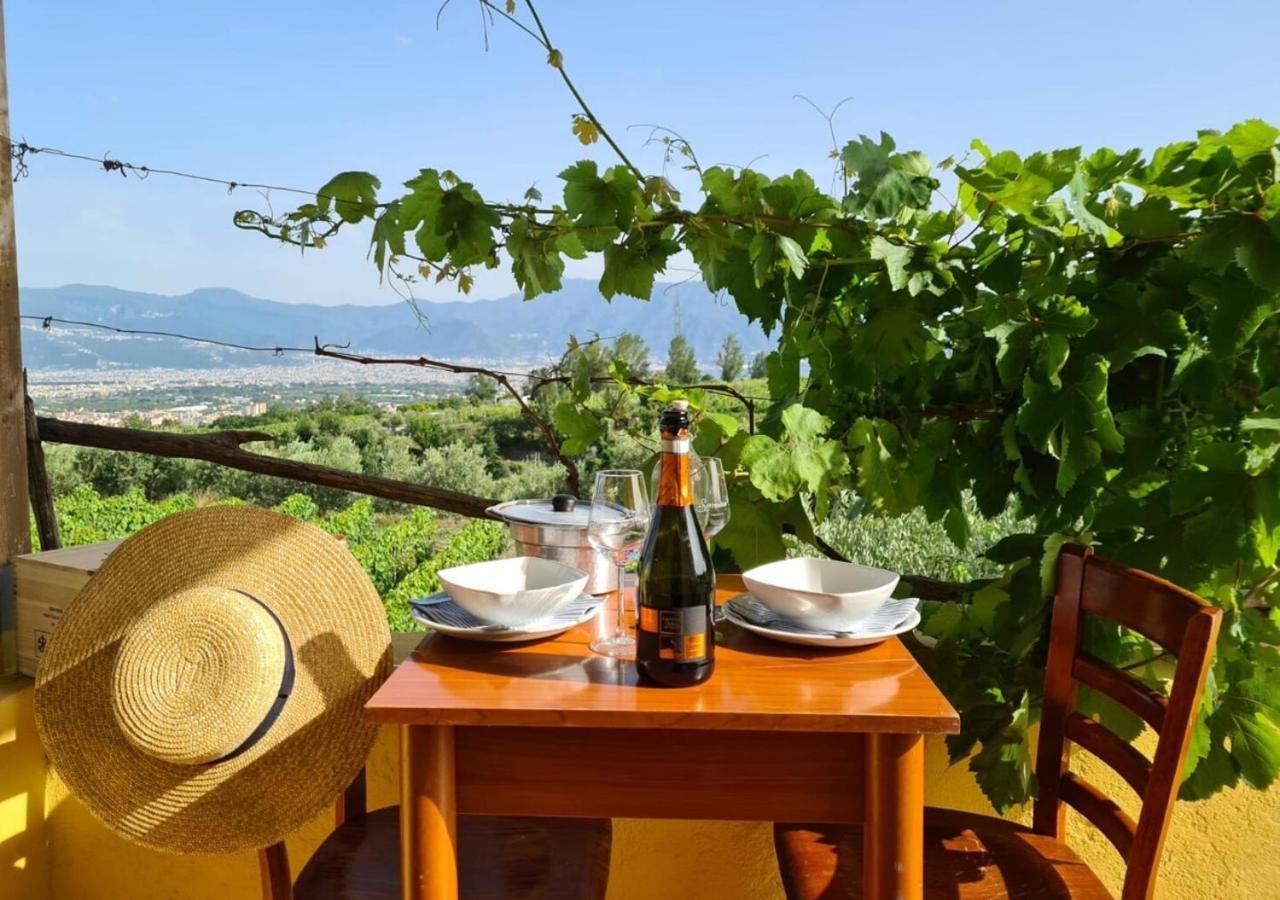 Vesuvio Inn Guest House E Wine Experience Boscotrecase Екстериор снимка