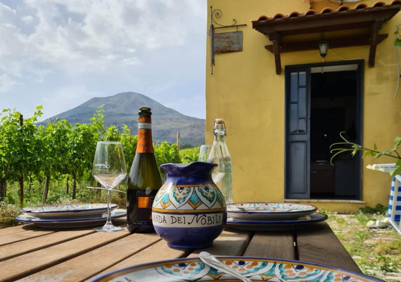 Vesuvio Inn Guest House E Wine Experience Boscotrecase Екстериор снимка