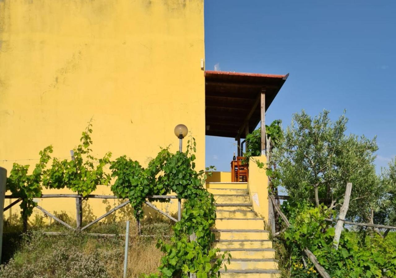 Vesuvio Inn Guest House E Wine Experience Boscotrecase Екстериор снимка