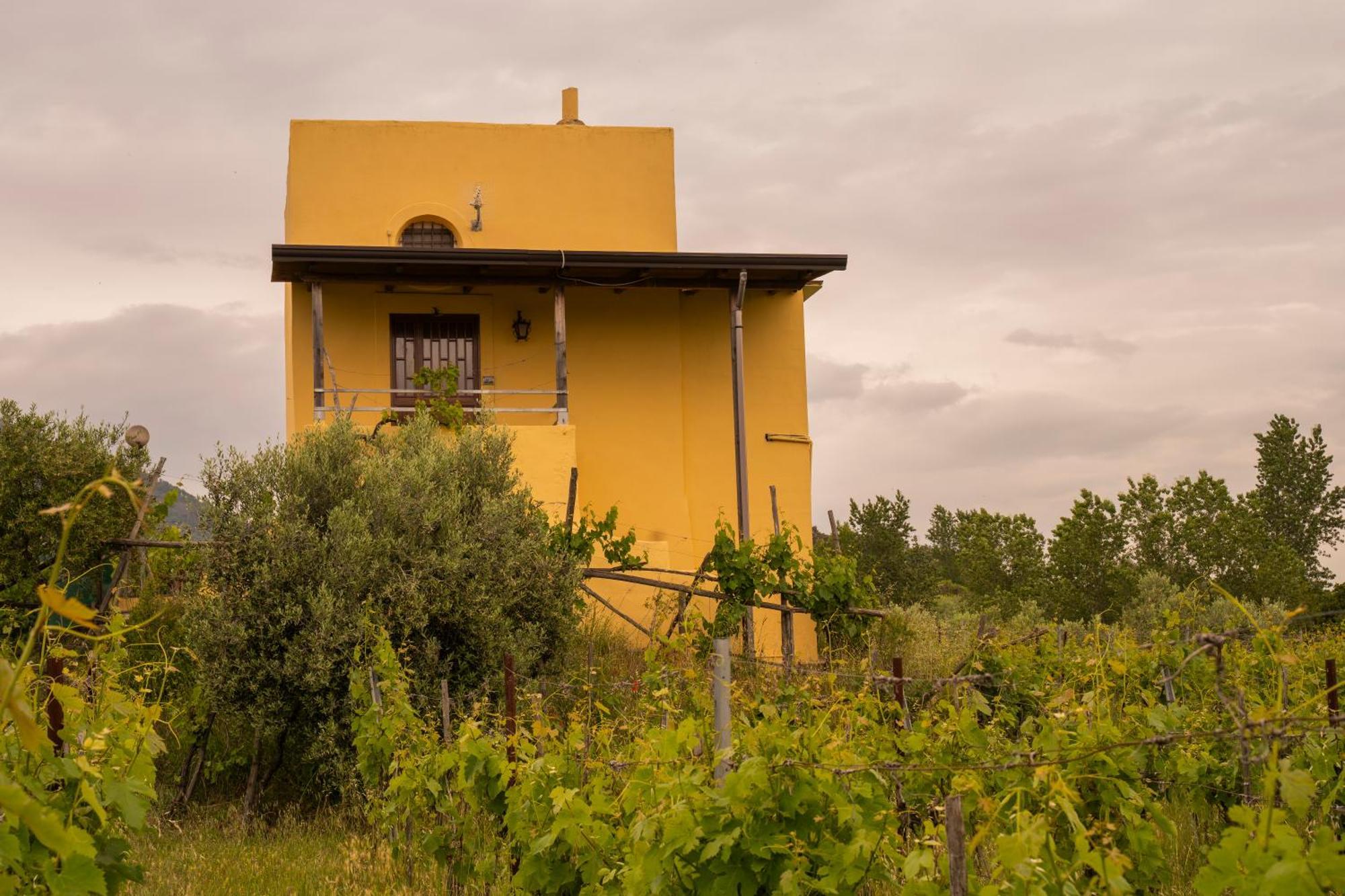 Vesuvio Inn Guest House E Wine Experience Boscotrecase Екстериор снимка