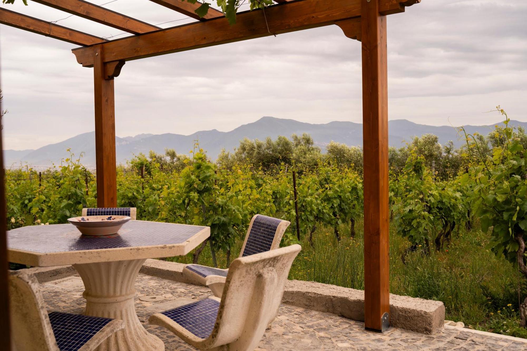 Vesuvio Inn Guest House E Wine Experience Boscotrecase Екстериор снимка