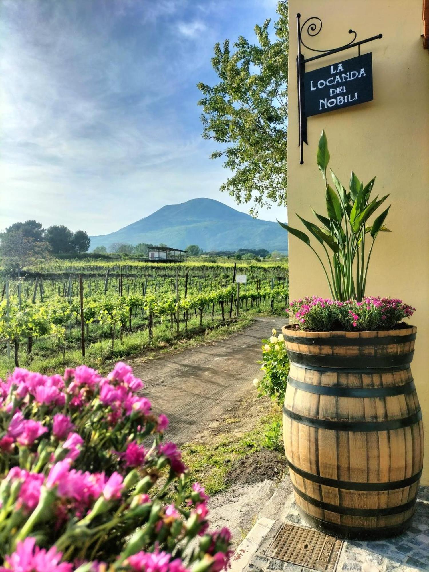 Vesuvio Inn Guest House E Wine Experience Boscotrecase Екстериор снимка