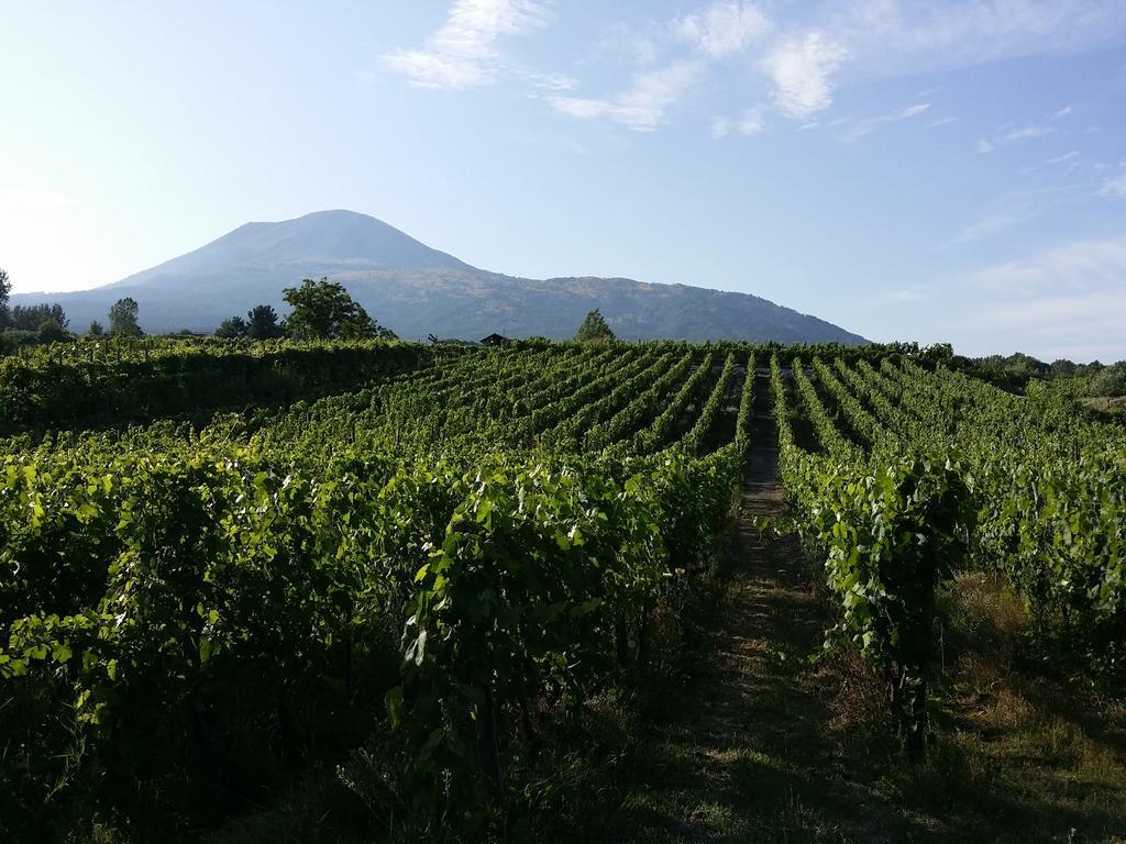 Vesuvio Inn Guest House E Wine Experience Boscotrecase Екстериор снимка