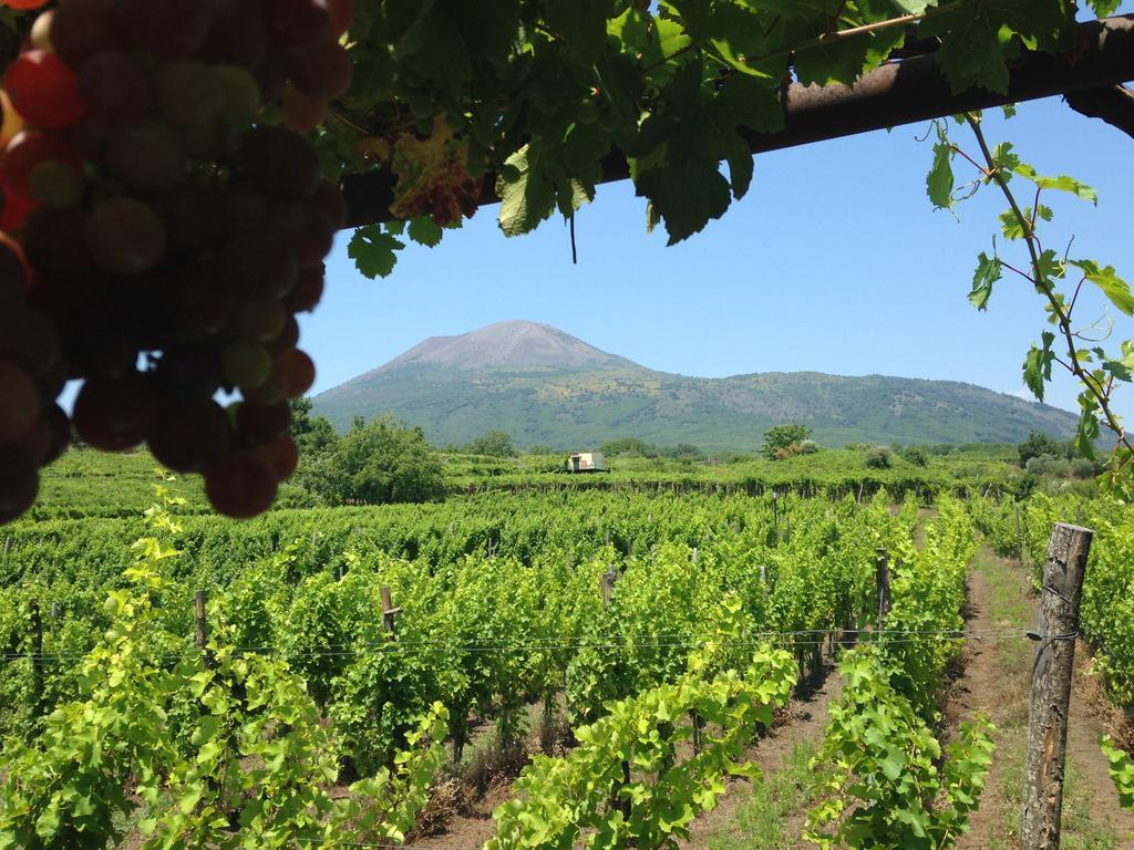 Vesuvio Inn Guest House E Wine Experience Boscotrecase Екстериор снимка